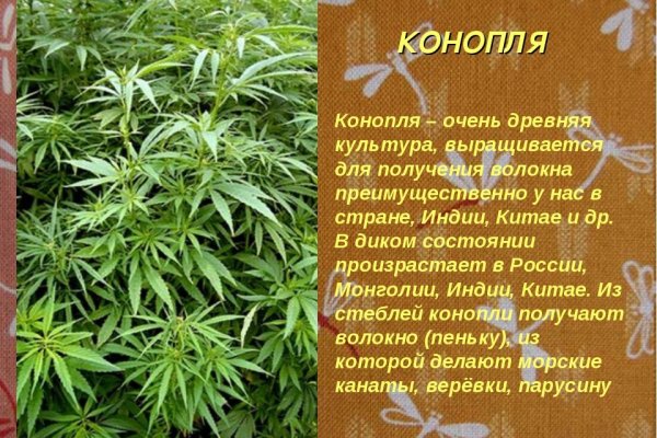Даркнет сайт скачать