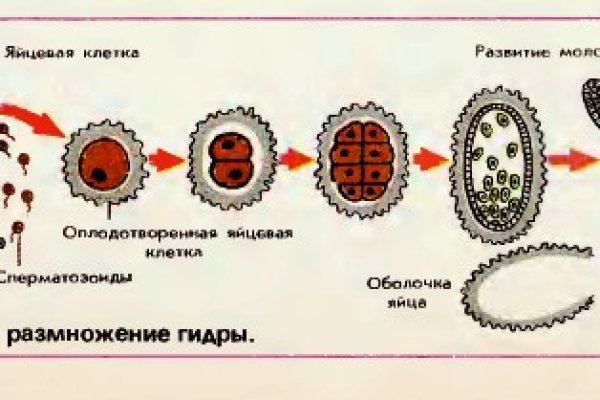 Сайт кракен официальный ссылка onion