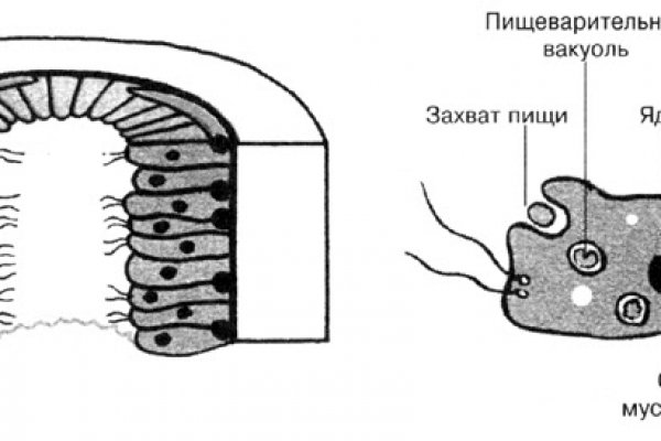 Кракен тор store
